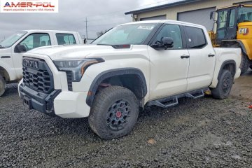 Crewmax Limited 2024