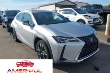 2019 LEXUS UX 250H