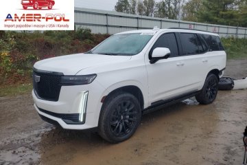 Sport Platinum 2024 6.2L