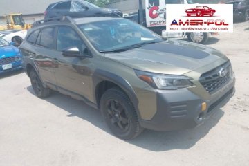 Wilderness, 2023r., 4x4, 2.4L