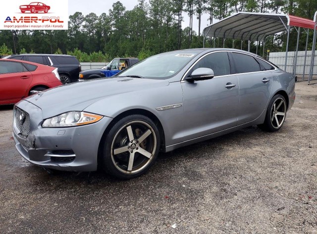 jaguar