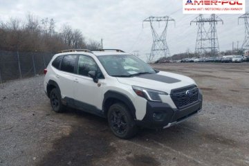 2022, 2.5L, 4x4, WILDERNESS, od ubezpieczalni