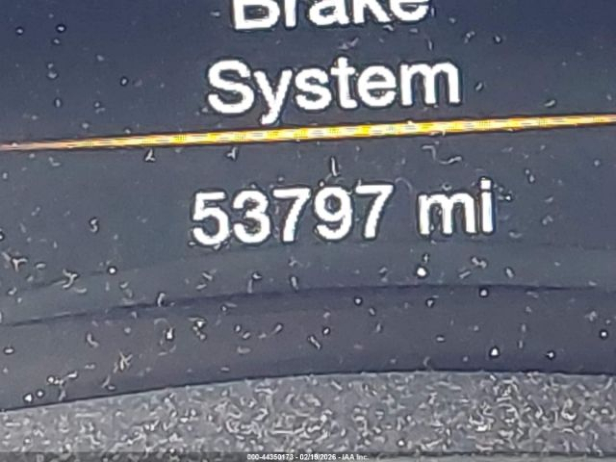 44350173_15_I.jpeg