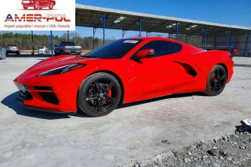 Stingray 2LT 2024