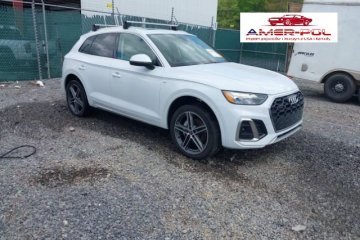 Premium 55, 2022r., 4x4, 2.0L