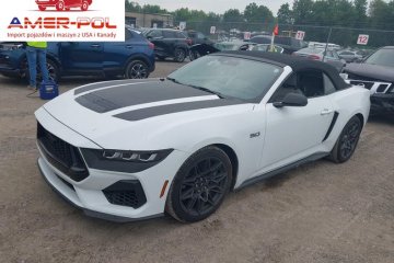 Gt Premium 2024