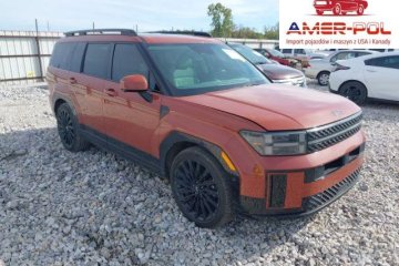 Calligraphy 2024 2.5l