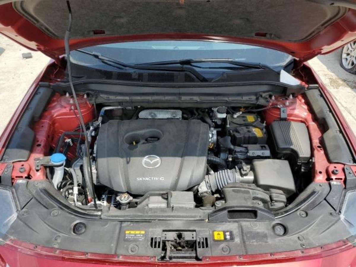 54921895_Image_12.jpg