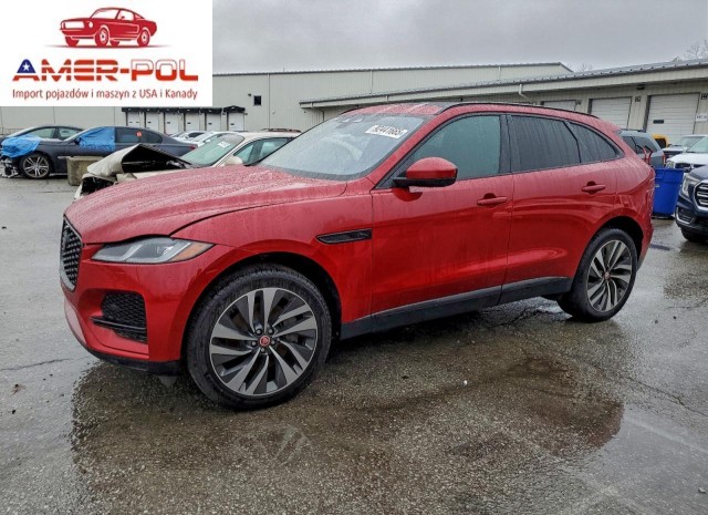 jaguar