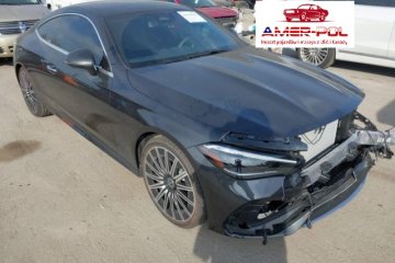 300, 2025r., 4x4, 2.0L