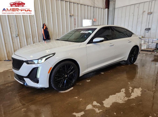 cadillac