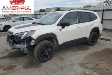 Wilderness 2024 2.5l