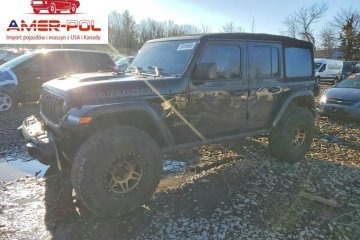Rubicon 392 2024