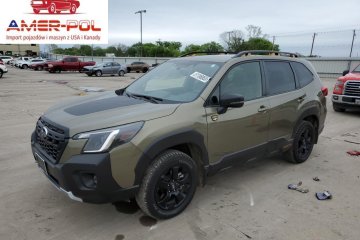 Wilderness 2023 2.5l