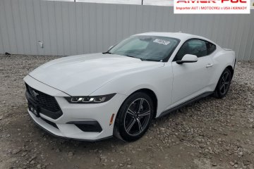 2024, 2.3L, od ubezpieczalni