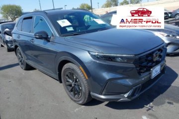 Hybrid Sport, 2024r., 2.0L