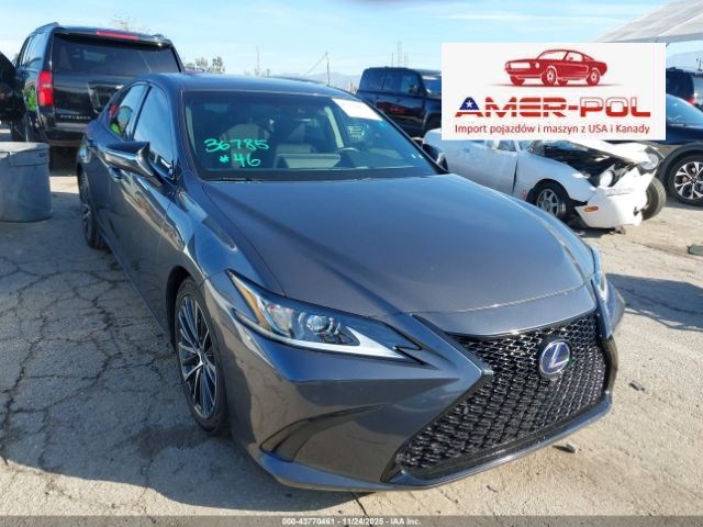 lexus
