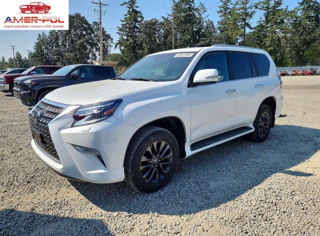 lexus