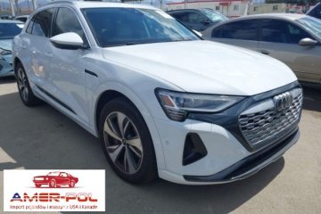 E-TRON PREMIUM PLUS QUATTRO 2024, od ubezpieczalni