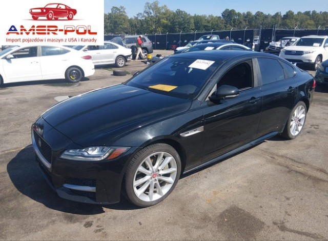 jaguar