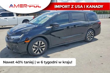2026 EXL