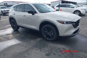 2025 r., 2,5 L TURBO PREMIUM