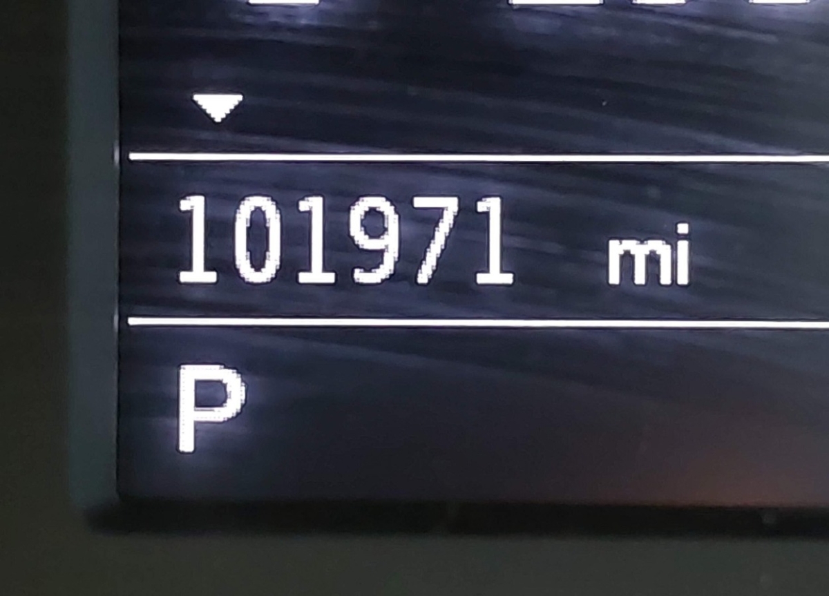 44387705_015.jpg