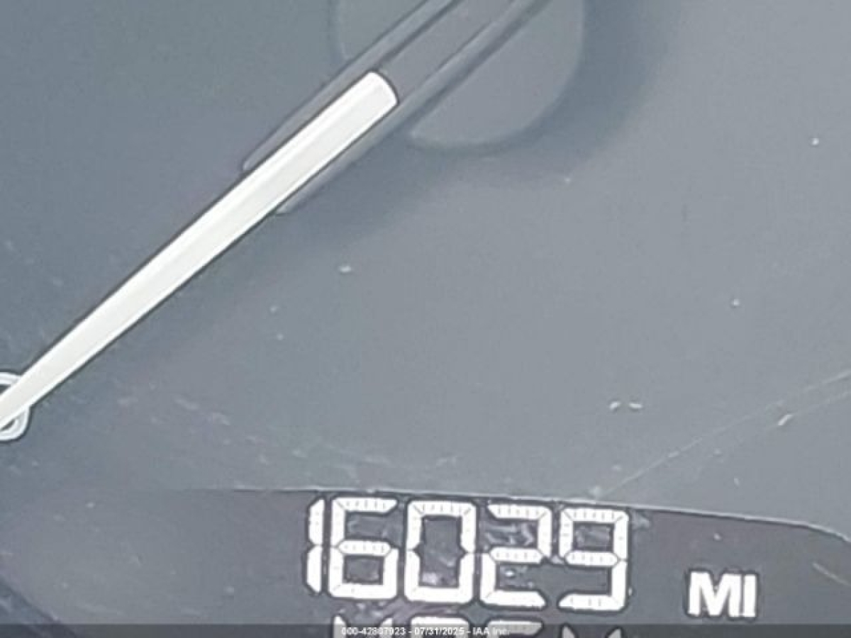 42807923_15_I.jpeg