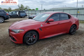Quadrifoglio 2018
