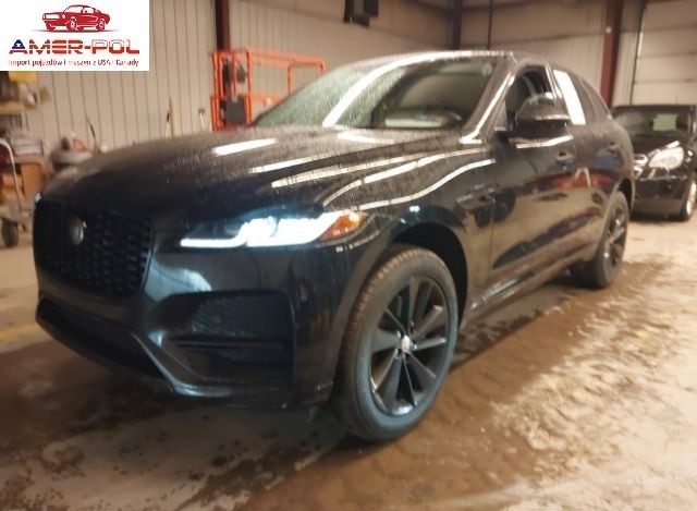 jaguar