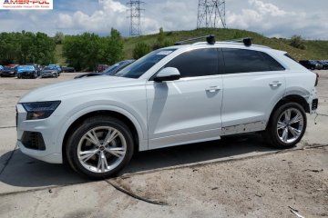 2023r., Premium Plus