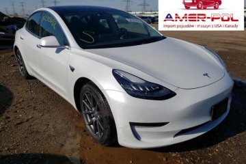 2020 Tesla Model 3, silnik elektryczny , Amer-Pol