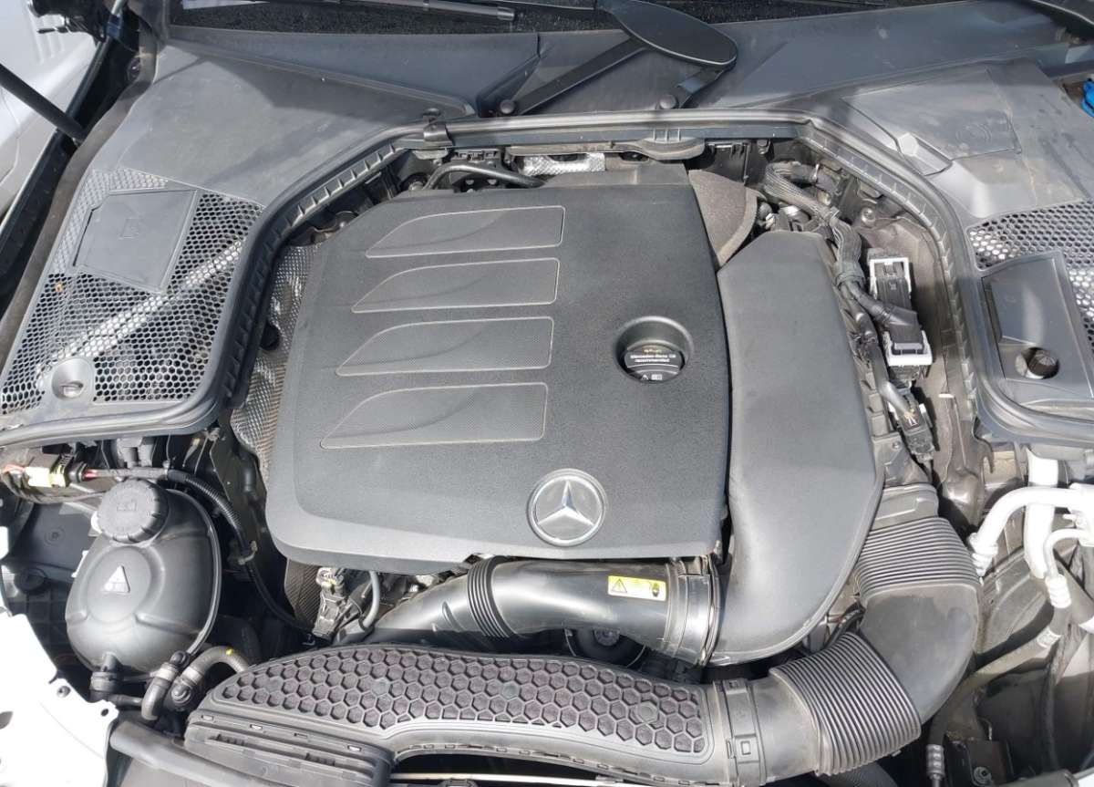 44431431_010.jpg