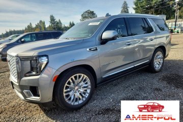 2023r., Denali, 3L, od ubezpieczalni