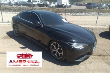 2019r., 2.0L