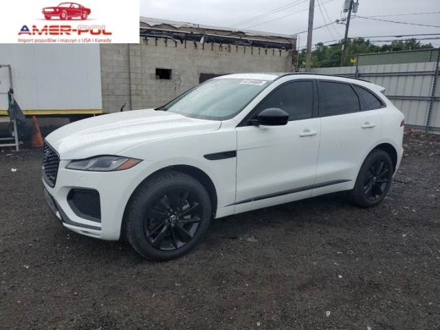 jaguar
