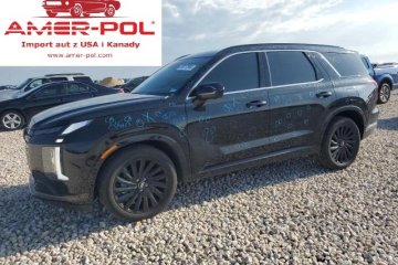 2024, 3.8, Calligraphy, po gradobiciu