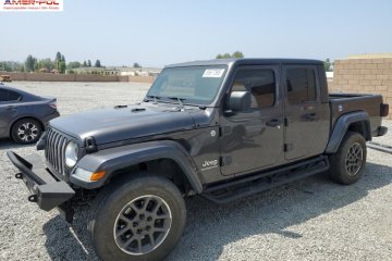 2020r., Overland