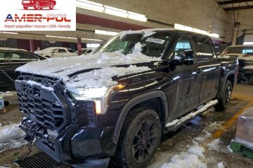 Crewmax Limited 2025