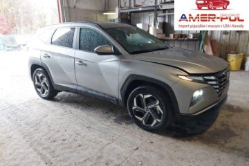 Plug-In Hybrid Sel 2024 1.6L