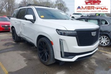2022r., Sport Platinum, od ubezpieczalni