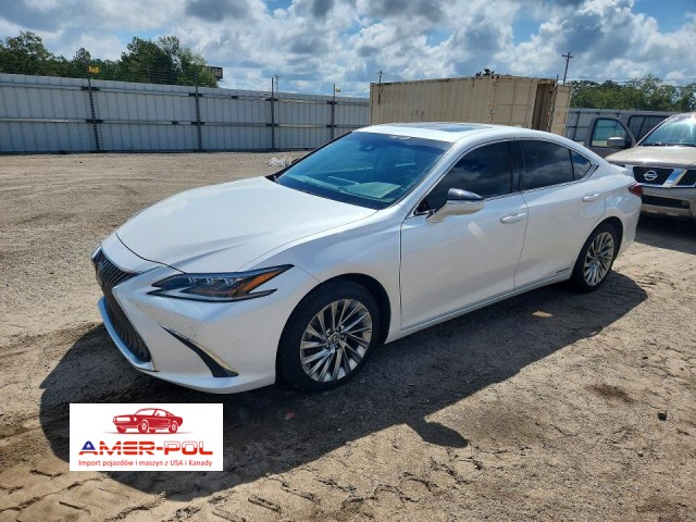 lexus