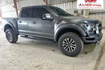 2019, 3.5L, 4x4, RAPTOR, od ubezpieczalni