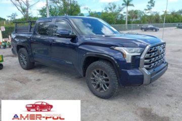 2023 TOYOTA TUNDRA HYBRID PLATINUM Print