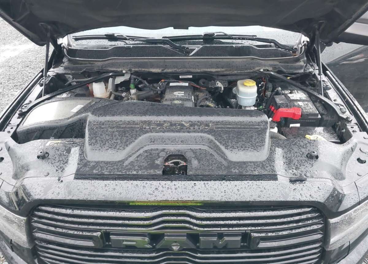 44584938_010.jpg