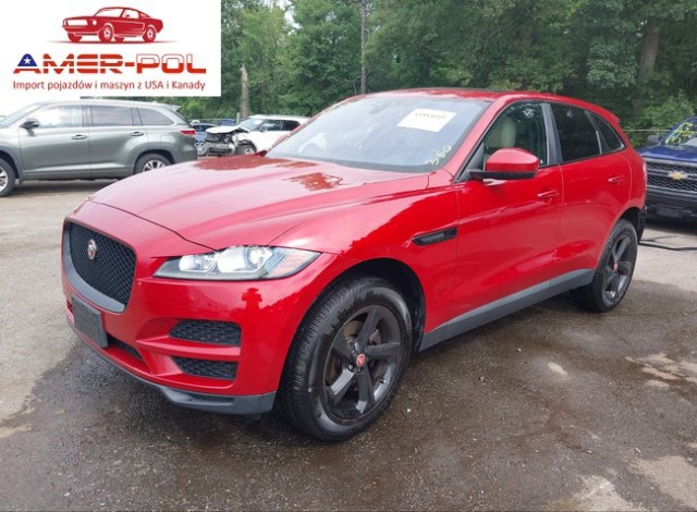 jaguar