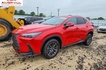 250 Premium 2024