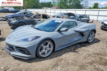 Stingray 3lt 2025