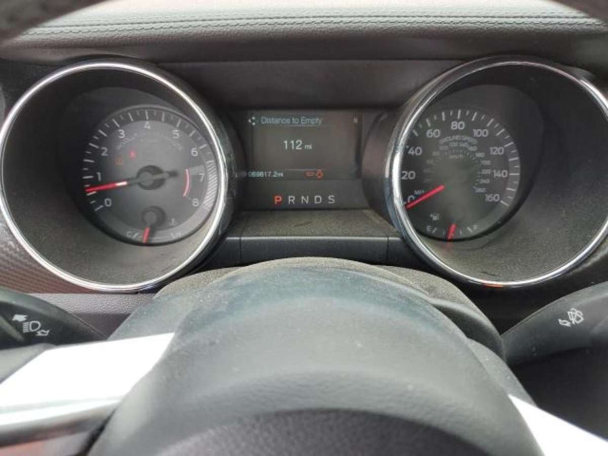 64896795_Image_9.jpg