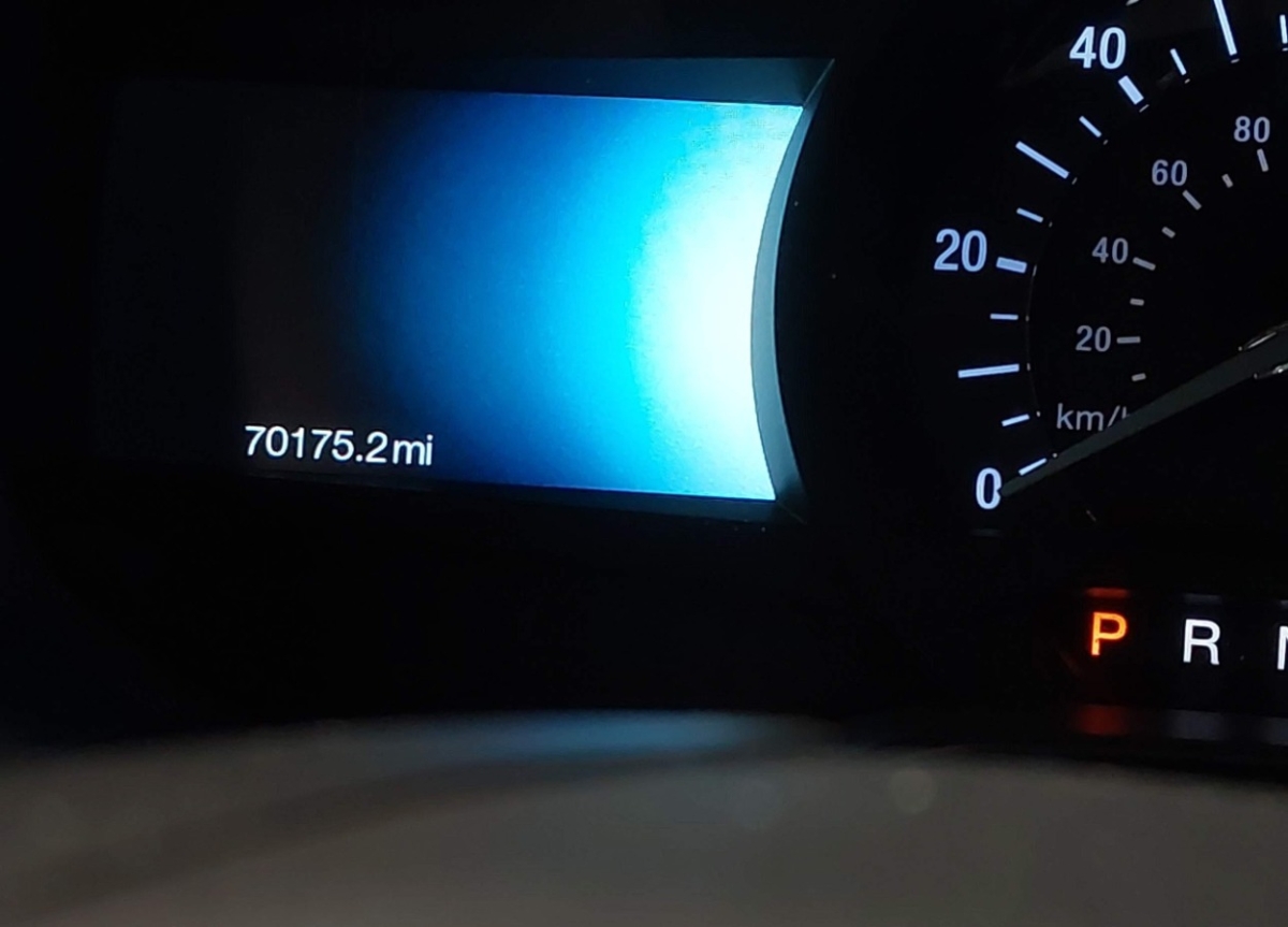 44039627_007.jpg